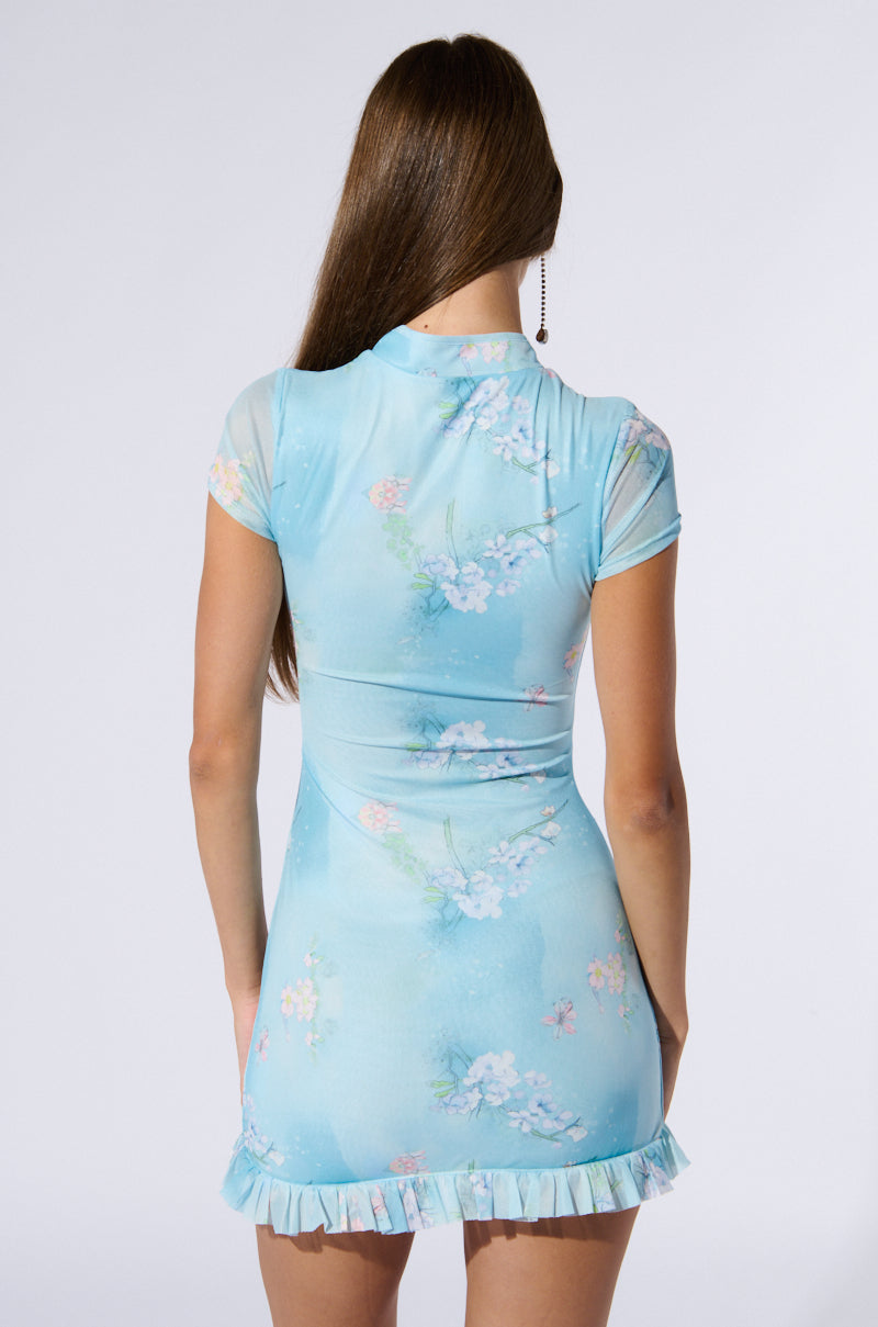 Luana Mesh Mini Dress