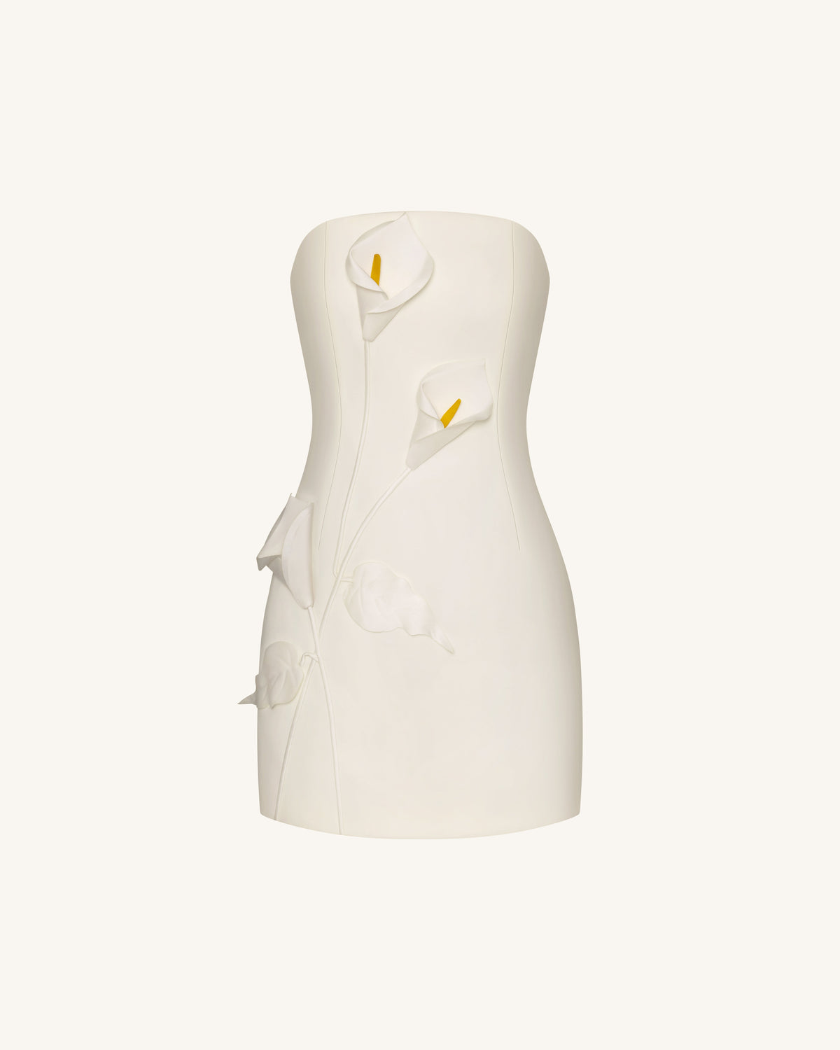 Strapless Floral Appliqué Dress - White