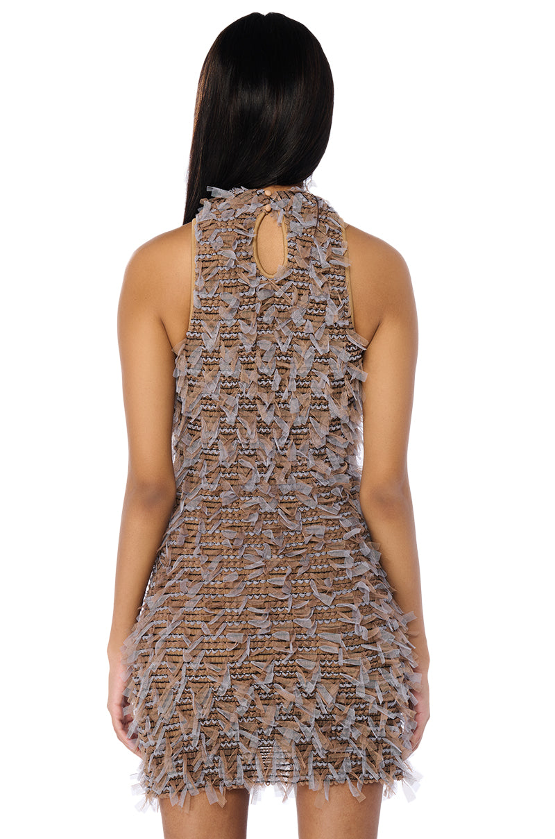 All About Me Mesh Mini Dress
