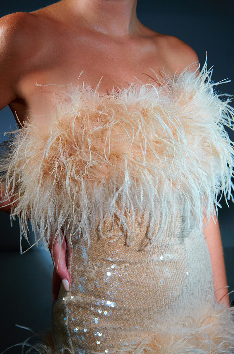 Bon Anniversaire Feather Trim Sequin Mini Dress