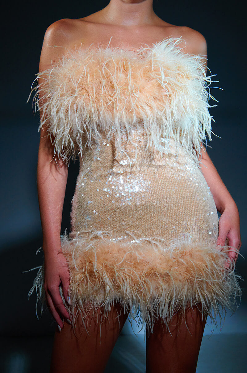 Bon Anniversaire Feather Trim Sequin Mini Dress
