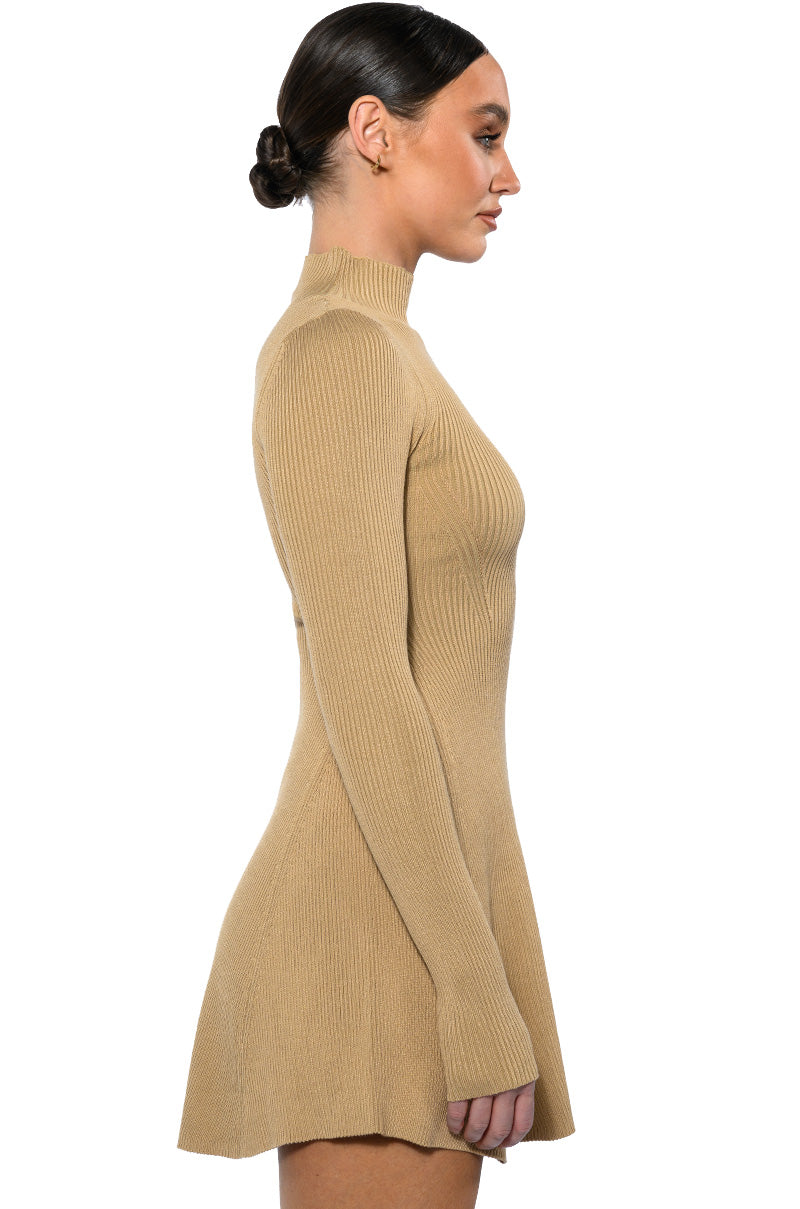 Jacie Mock Collar Knit Mini Dress