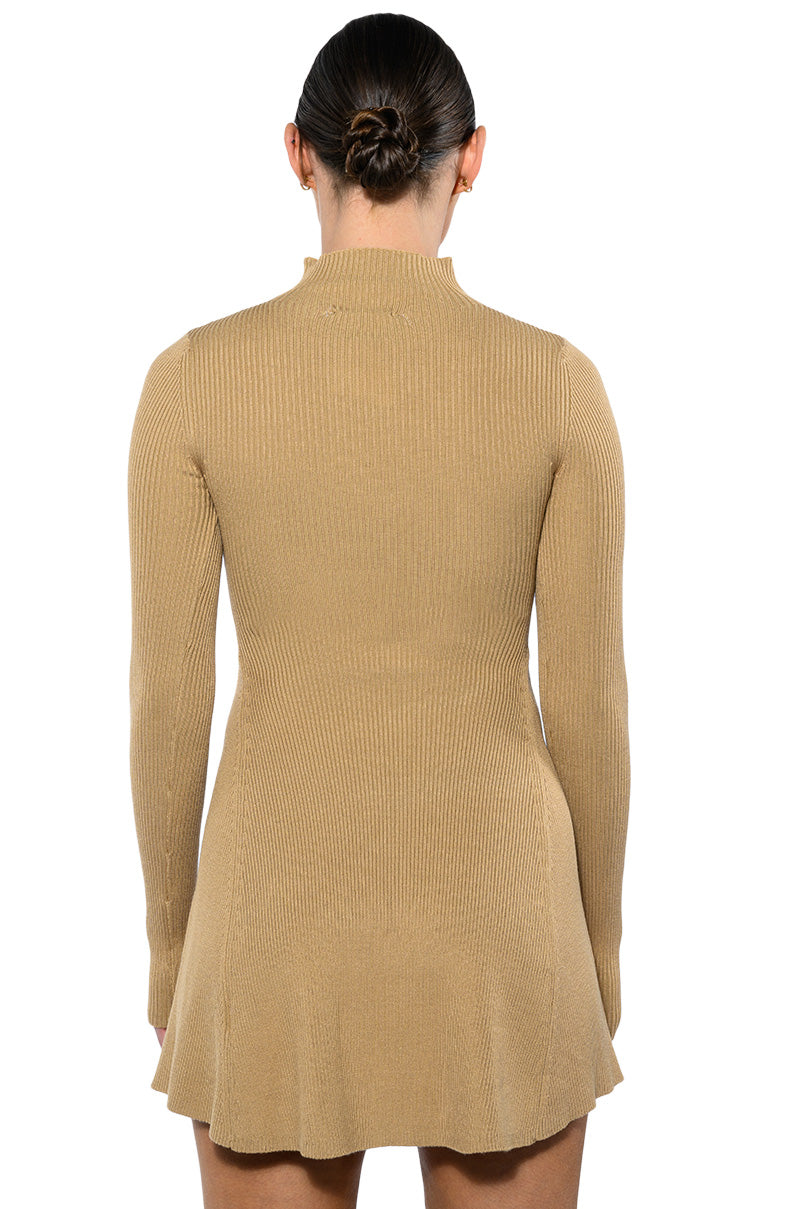 Jacie Mock Collar Knit Mini Dress