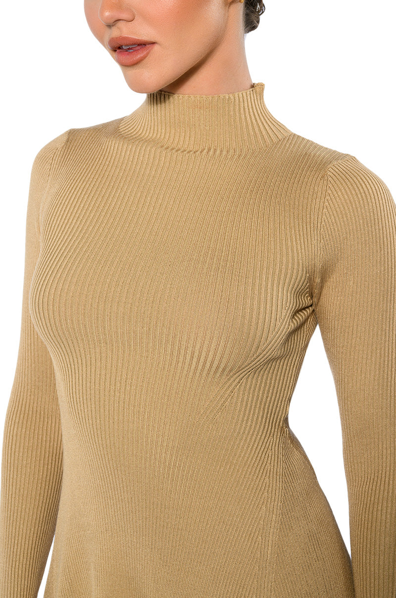 Jacie Mock Collar Knit Mini Dress