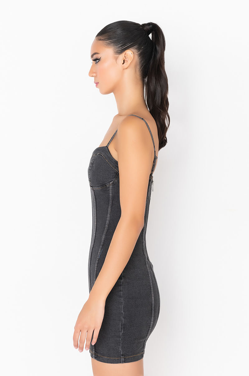 Day Trip Denim Mini Tube Dress