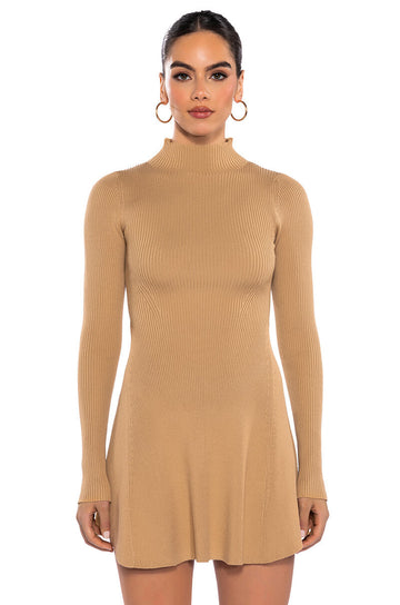 Jacie Mock Collar Knit Mini Dress