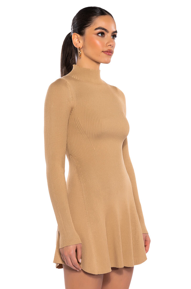 Jacie Mock Collar Knit Mini Dress
