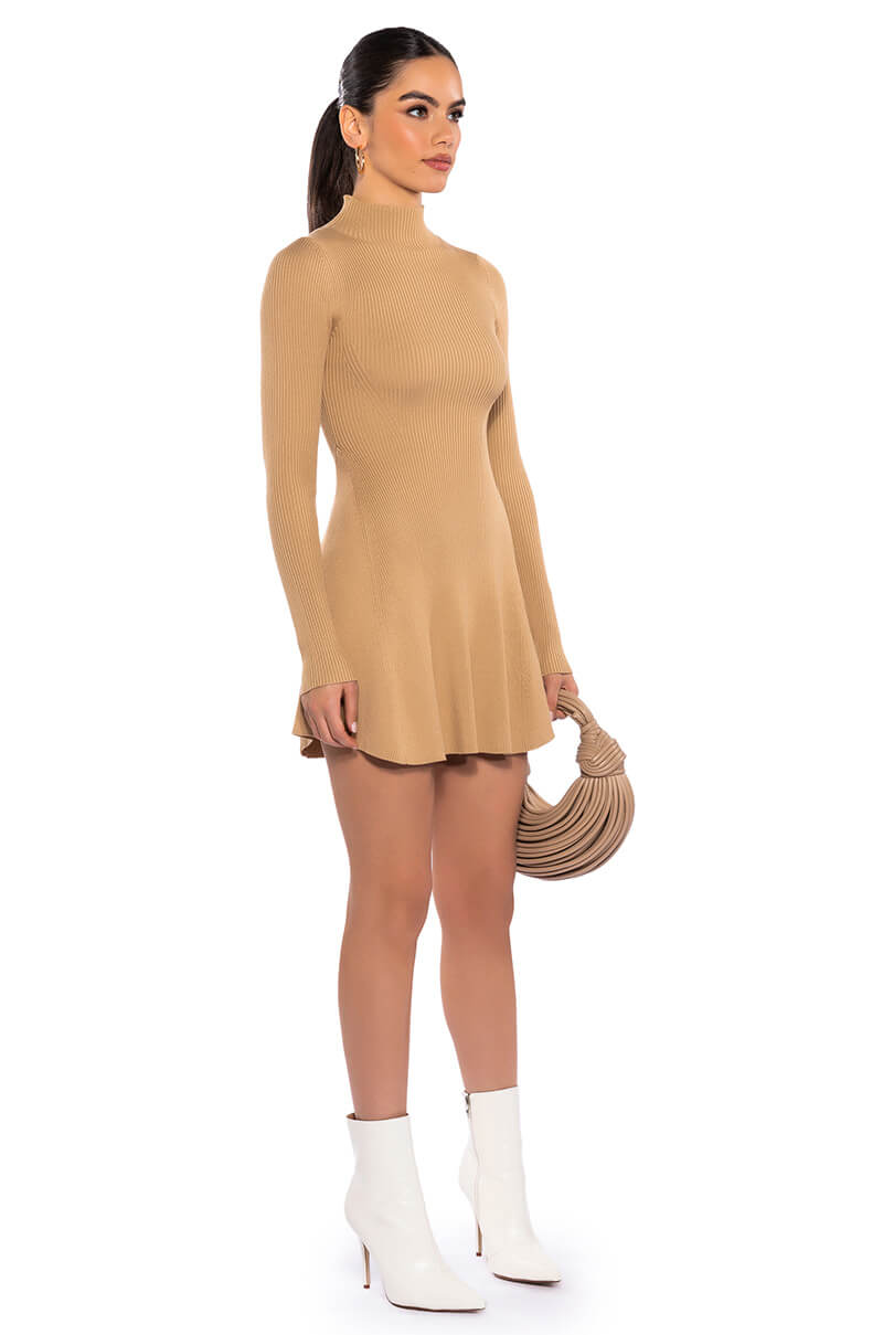 Jacie Mock Collar Knit Mini Dress
