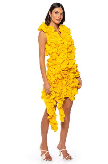 Kelsey Ruffle Open Back Mini Dress