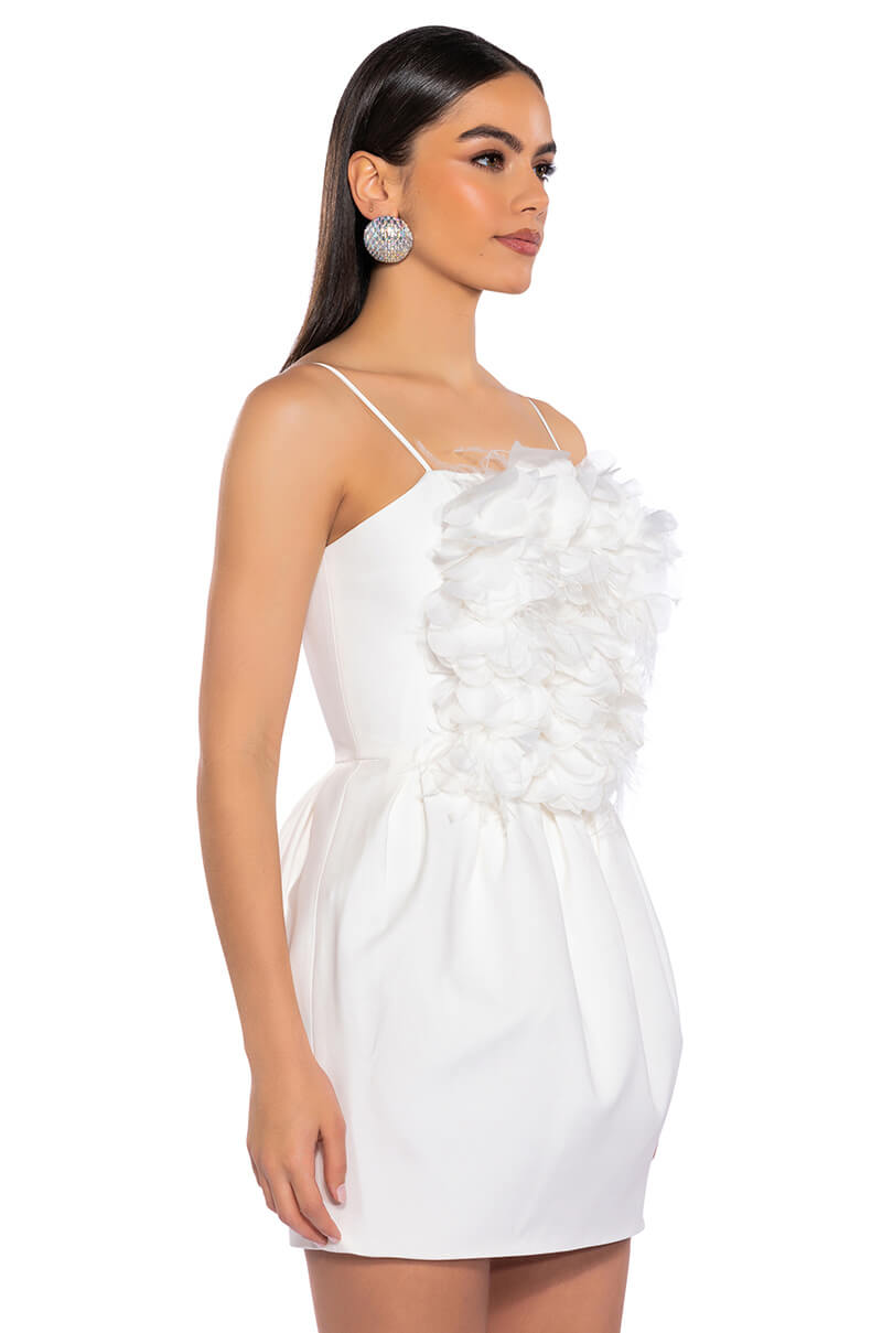 Gaia Floral Feather Applique Sleeveless Mini Dress