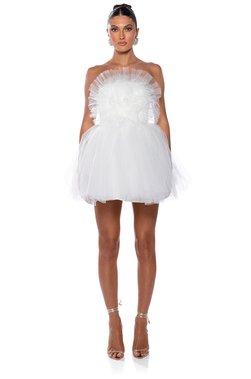 Something Slight Tulle Mini Dress
