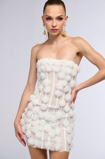 The Secret Garden Mesh Mini Dress
