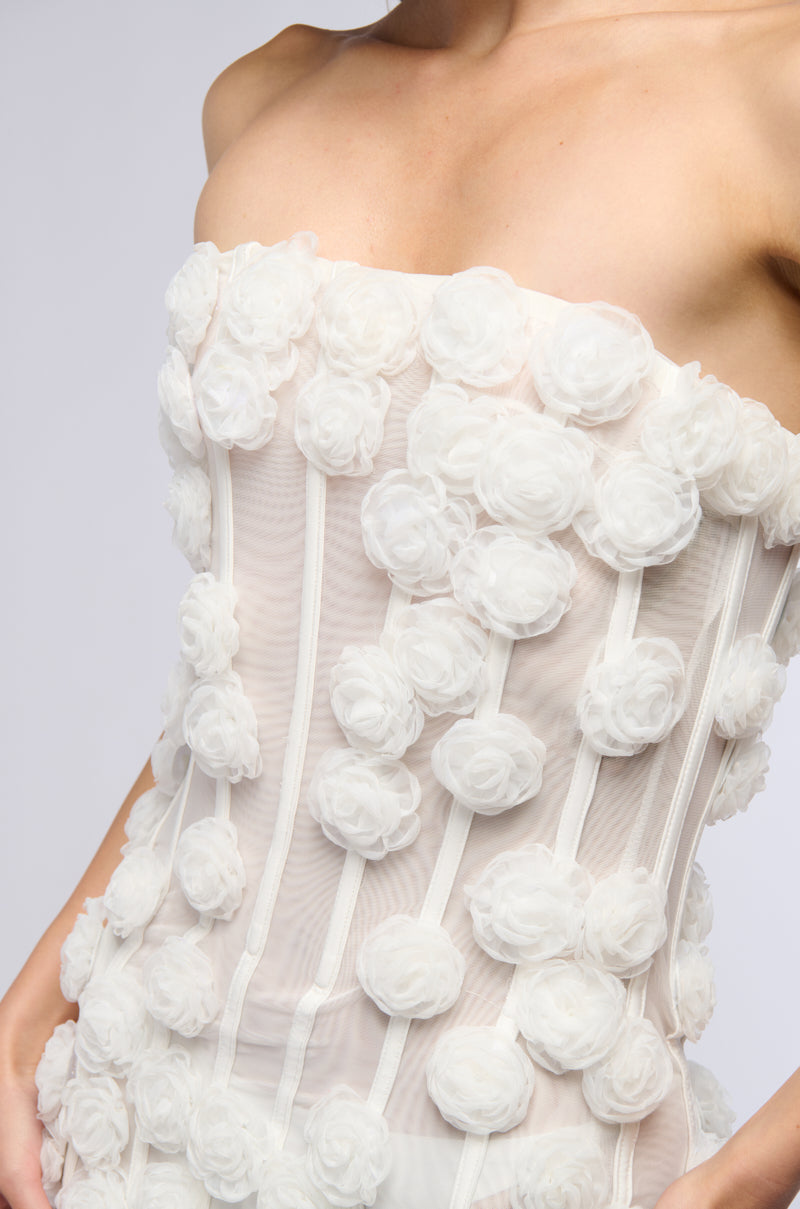 The Secret Garden Mesh Mini Dress